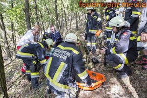 Verletzter Mountainbiker aus Wald gerettet