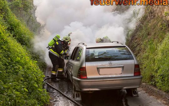 Fahrzeugbrand in den Kremser Weinbergen rasch gelöscht