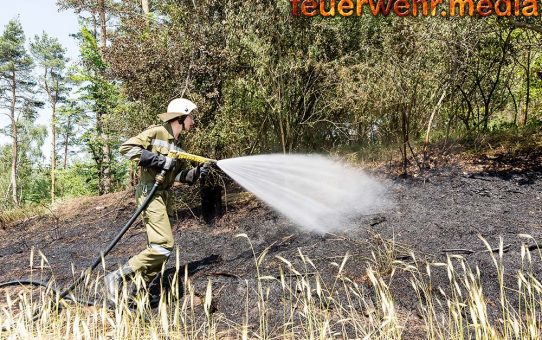 Waldbrand droht auf ein Feld überzugreifen - Drei Feuerwehren im Einsatz