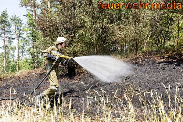 Waldbrand droht auf ein Feld überzugreifen – Drei Feuerwehren im Einsatz