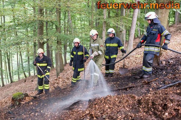 Waldbrand am Wachauer Seekopf