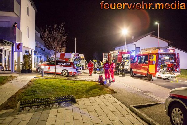 Feuerwehr rettet Bewohnerin und Hund aus verrauchter Wohnung