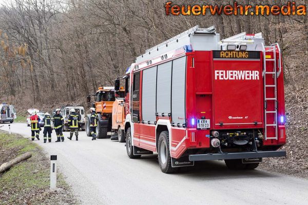 Feuerwehr und Rettungsdienst bei Forstunfall im Dunkelsteinerwald im Einsatz