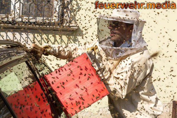 Bienen “belagerten” Fahrrad und Auto am Kremser Pfarrplatz