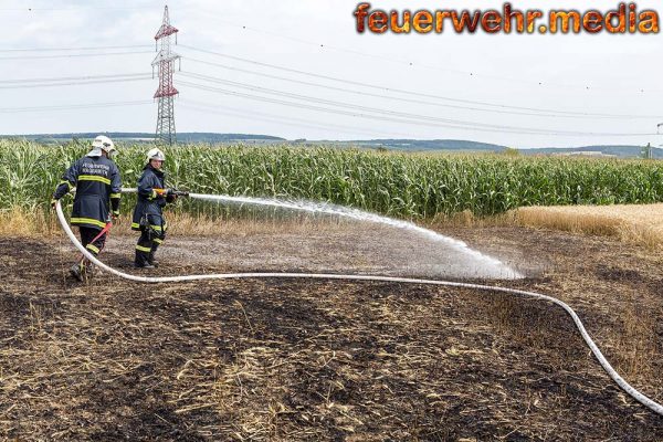 Feldbrand in Wagram erfordert den Einsatz von mehreren Feuerwehren