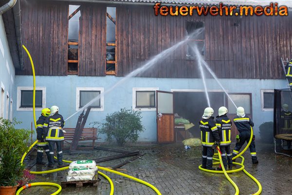 Stallgebäude mit 600 Ferkel in Brand geraten