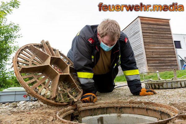 Humorvolle Tierrettung – Junger Kater aus einem Kanalrohr gerettet