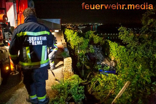 Pkw stürzt vom Pfaffenbergweg in einen Weingarten