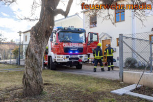 Sturm entwurzelt zwei Fichten