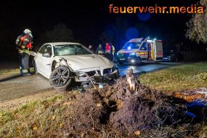 Baum durch Pkw gefällt – Fahrer verletzt