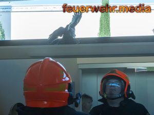 Vogel aus Badezimmer gerettet
