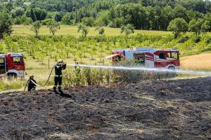 Flurbrand in Dross drohte auf ein trockenes Getreidefeld überzugreifen