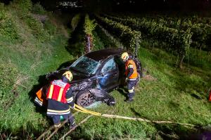 Fahrzeugabsturz von der L100 in einen tiefer gelegenen Weingarten