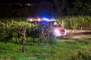 Fahrzeugabsturz von der L100 in einen tiefer gelegenen Weingarten