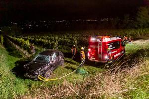 Fahrzeugabsturz von der L100 in einen tiefer gelegenen Weingarten