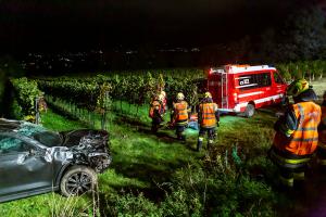 Fahrzeugabsturz von der L100 in einen tiefer gelegenen Weingarten