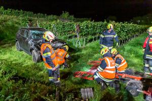 Fahrzeugabsturz von der L100 in einen tiefer gelegenen Weingarten