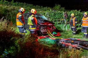 Fahrzeugabsturz von der L100 in einen tiefer gelegenen Weingarten