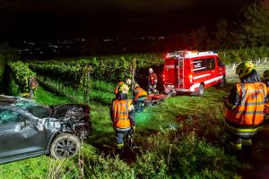 Fahrzeugabsturz von der L100 in einen tiefer gelegenen Weingarten