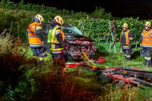 Fahrzeugabsturz von der L100 in einen tiefer gelegenen Weingarten