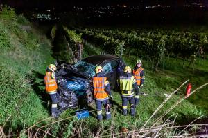 Fahrzeugabsturz von der L100 in einen tiefer gelegenen Weingarten