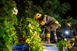 Pkw stürzt vom Pfaffenbergweg in einen Weingarten und landet am Dach