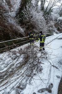 Umgestürzter Baum blockiert den Alauntalweg