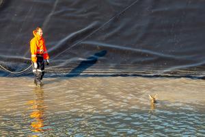 Reh von der Kremser Feuerwehr aus einem Wasserbecken gerettet