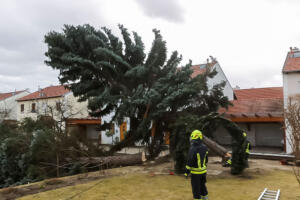Zwei Bäume drohen im Sturm auf ein Haus zu stürzen