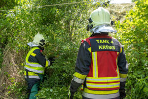 Pkw hinter Büschen im Straßengraben neben der S5