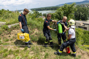 Tödlicher Traktorabsturz in einem Steiner Weingarten