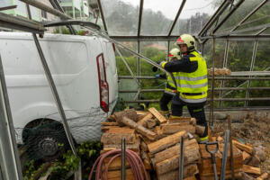 Transporter rollt in ein Glashaus einer Gärtnerei