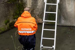 Feuerwehr rettet Reha su einem Wasserbecken