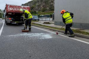 Oldtimer prallt in Förthof gegen ein Gebäude