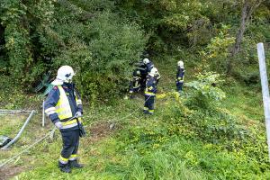 Neuerlicher Unfall auf der L114 - BMW rammt Wegweiser und landet im Buschwerk