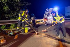 Mopedfahrer nach Sturz auf der Langenloiser Straße verletzt