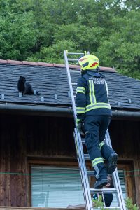 KR T1 Tierrettung 12052025-10