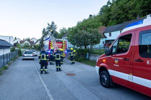 KR T1 Tierrettung 12052025-18