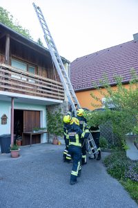 KR T1 Tierrettung 12052025-3