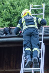 KR T1 Tierrettung 12052025-7