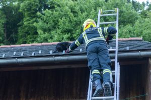 KR T1 Tierrettung 12052025-8