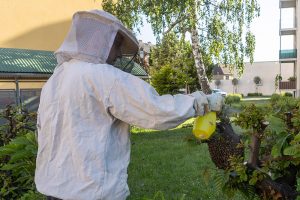 KS T1 Bienen 13052025-3