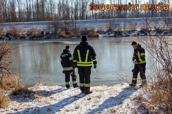 Vermeintlich eingefrorene Schwäne führen zu einem Feuerwehreinsatz