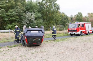 KR T1 Palt 02102016-4