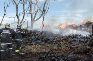 KR B2 Wolfshoferamt 29072017-72