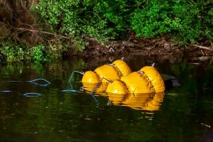 Pkw stürzt in den Stausee Ottenstein - Zwei Personen retten sich aus dem sinkenden Fahrzeug