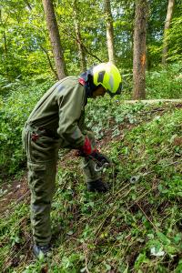 Pkw kommt von der Straße ab und landet im Bach