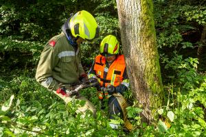 Pkw kommt von der Straße ab und landet im Bach