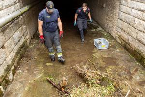 Entenkücken von der Feuerwehr gerettet
