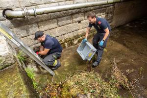 Entenkücken von der Feuerwehr gerettet
